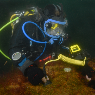 Cygnus DIVE Underwater Gauge - Cygnus Instruments